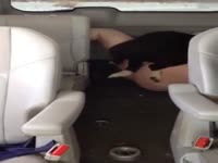 Video do Marcelo